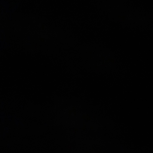 Meet your Posher, Jake - Picture 1 of 1